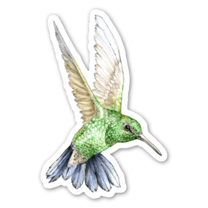 A very beautiful sticker of an illustration representing a green hummingbird.