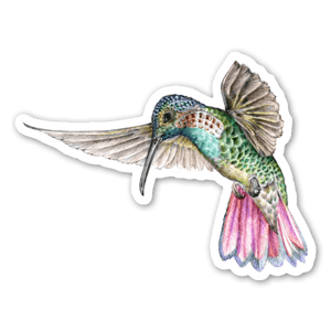 A beautiful sticker of a red hummingbird illustration.