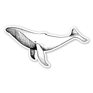 A black and white whale - stickers