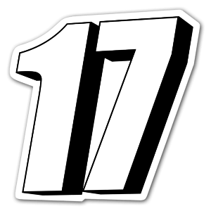 White 3D 17 racing number